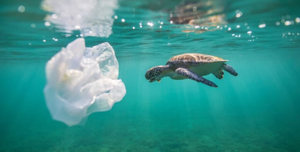 Stop Marine Pollution