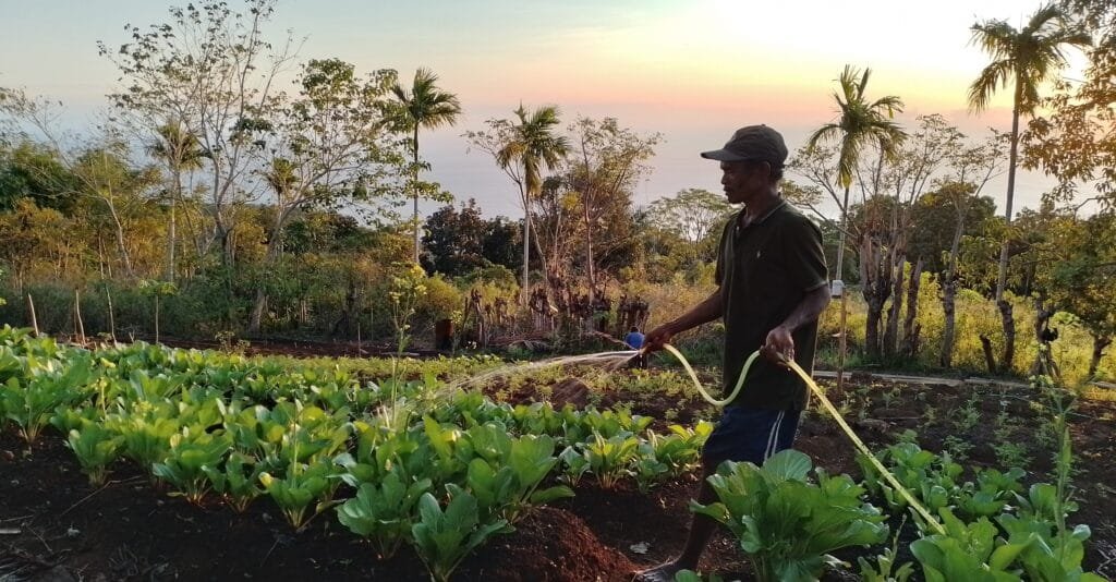 Opa Simon, Menjemput Harapan di Tengah Perubahan